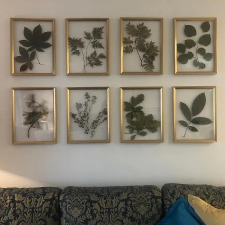 Magdalena * كوتنا هورا