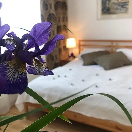 Magdalena Apartment