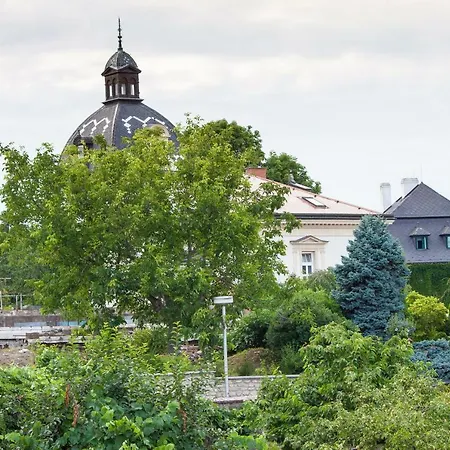 Magdalena קונטה הורה